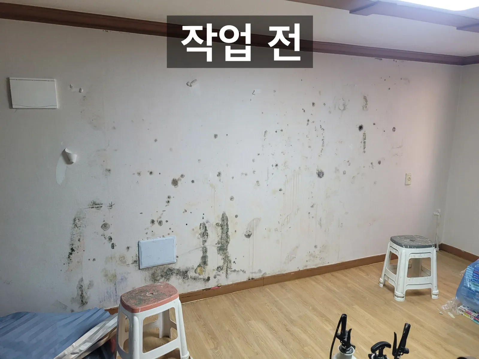 곰팡이가 번진 벽면