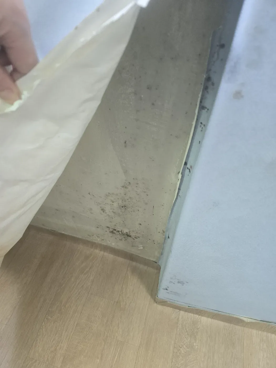 벽지 아래 곰팡이
