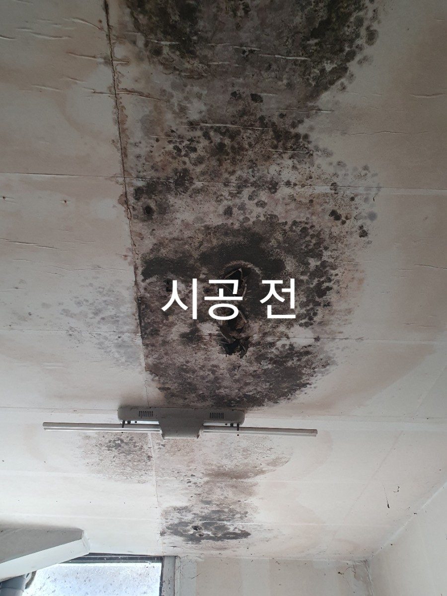 곰팡제거 후 규조토결로제로 및친환경규조토페일트 시공 사진 2