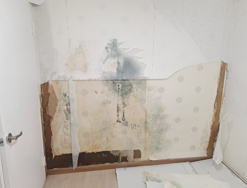 벽지 안쪽까지 번진 검은 곰팡이 원인은? 인천 제물포구 곰팡이 제거 사진 1