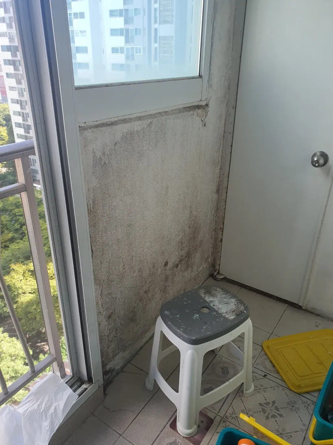 천장까지 번진 곰팡이