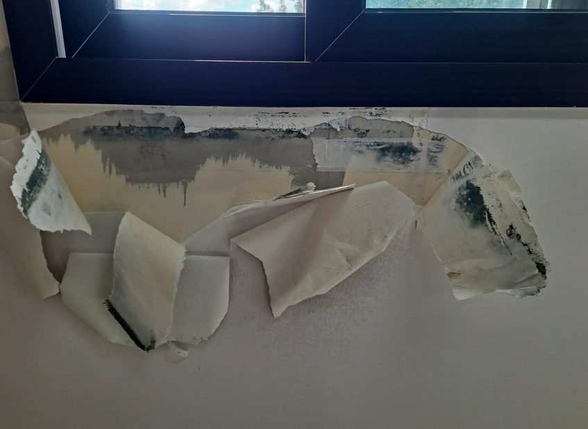 인천 부평곰팡이 제거, 도배 후 같은 벽에 다시 생겼다면 원인부터 확인하세요 사진 1