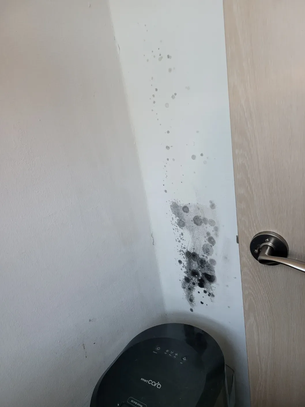 시공 전 문 옆 벽 곰팡이