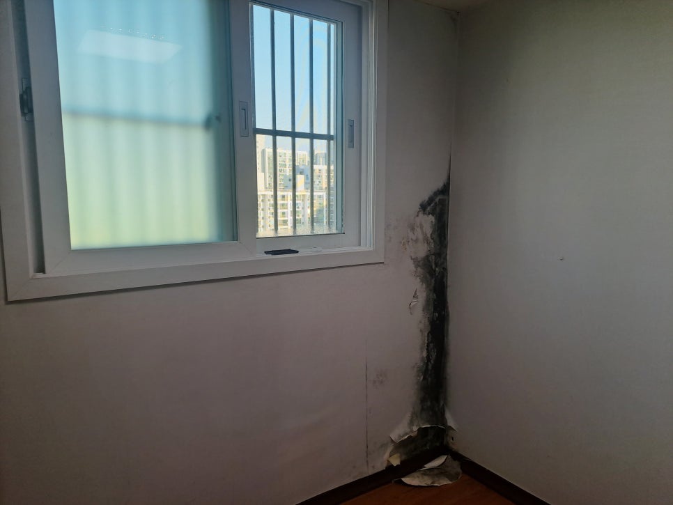 인천 미추홀구곰팡이 제거 창가 벽지에 반복되는 곰팡이 단열시공으로 해결한 후기 사진 2