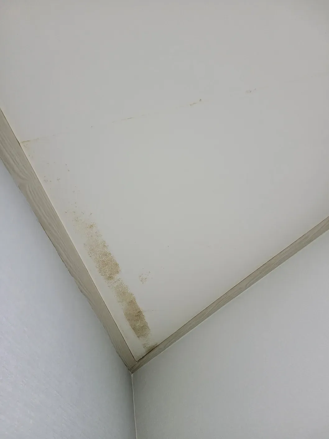 시공 전 천장 곰팡이