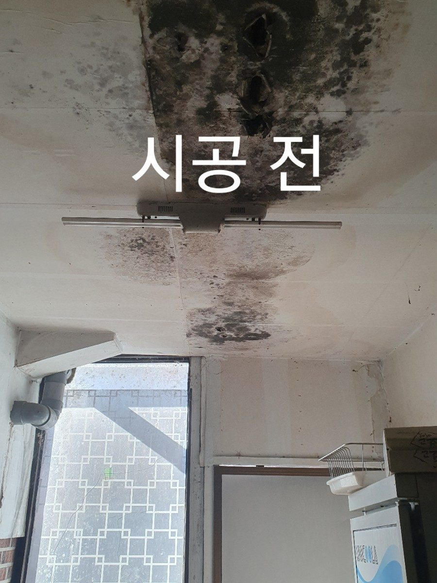 곰팡제거 후 규조토결로제로 및친환경규조토페일트 시공 사진 9