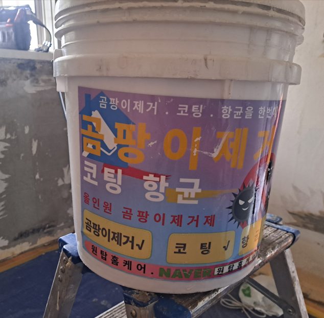 창문 양옆을 따라 번진 검은 곰팡이 원인은? 인천 서구 곰팡이 제거 사진 14
