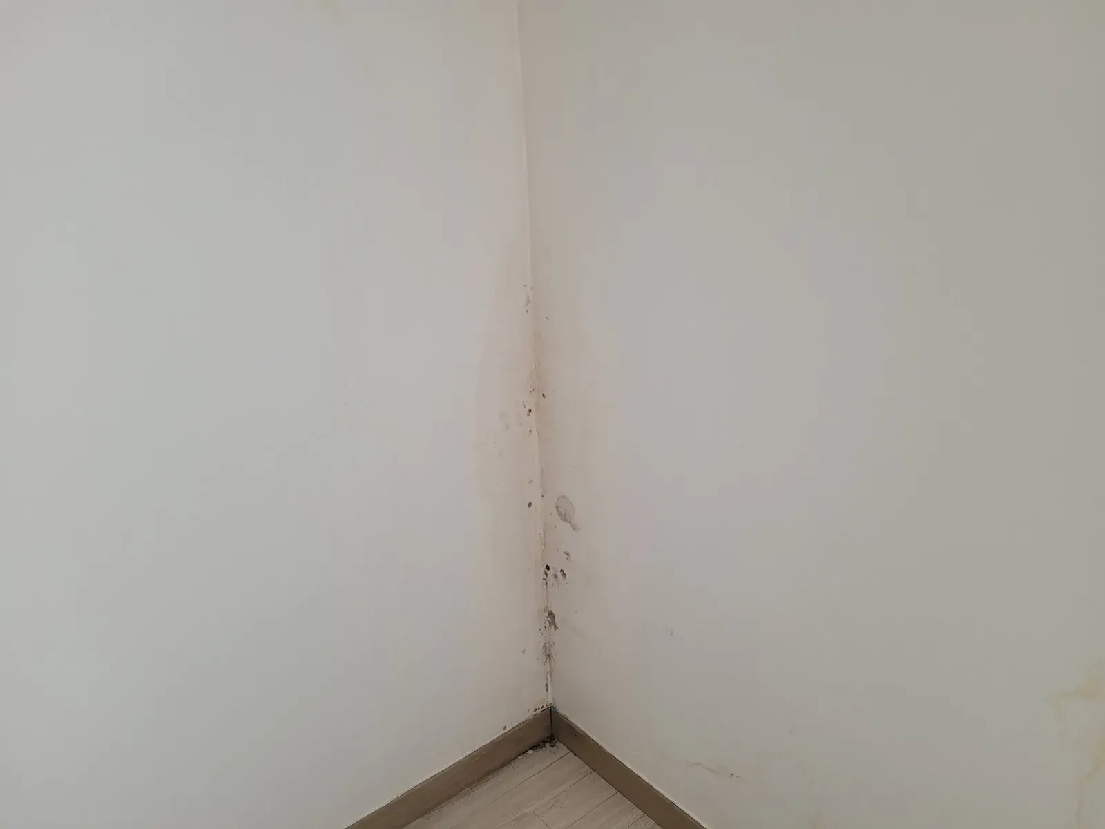 시공 전 모서리 곰팡이