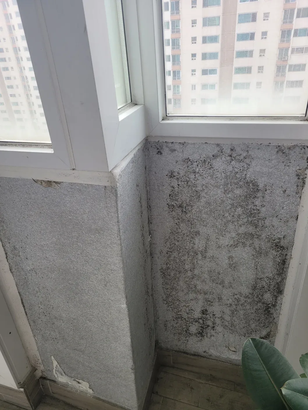 시공 전 베란다 벽 곰팡이