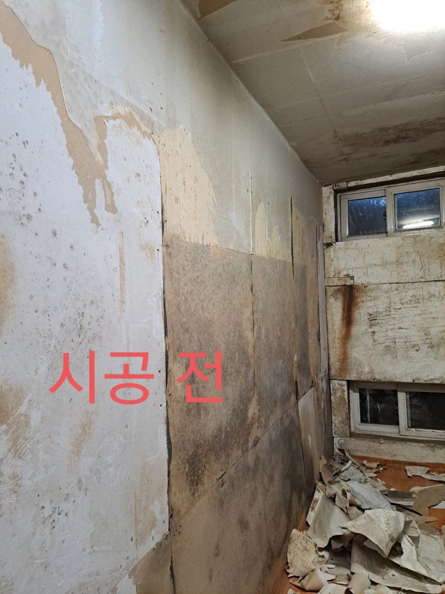 곰팡제거 후 규조토결로제로 및친환경규조토페일트 시공 사진 13