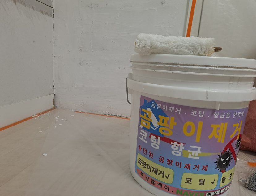 인천 계양구곰팡이 제거, 도배를 새로 했는데도 다시 생긴 이유 원탑홈케어가 현장에서 찾은 원인 사진 9