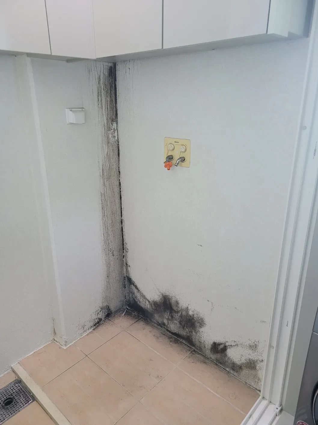시공 전 세탁실 모서리 곰팡이