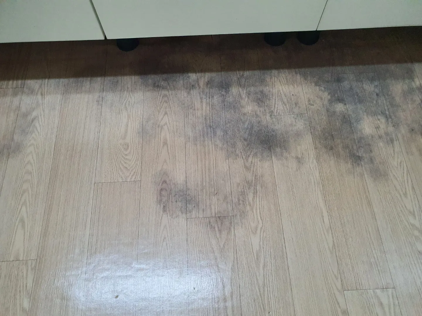 시공 전 장판 곰팡이