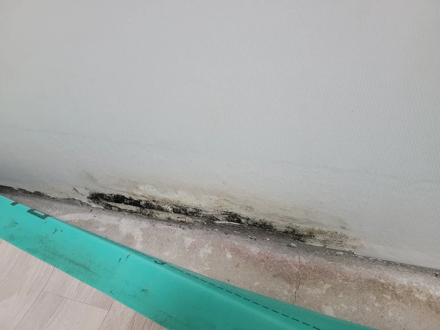 시공 전 벽 하단 곰팡이