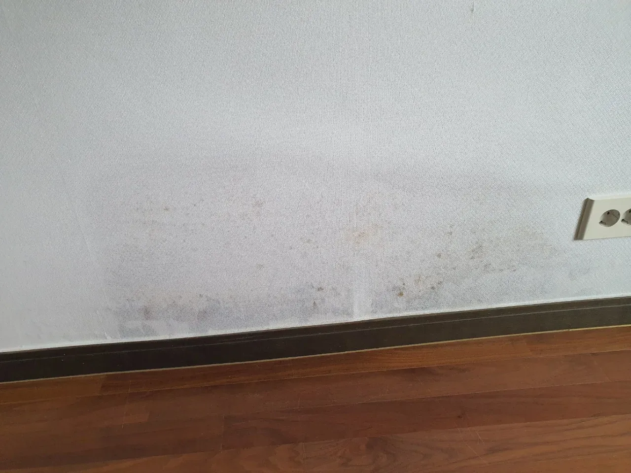 시공 전 벽 하단 곰팡이