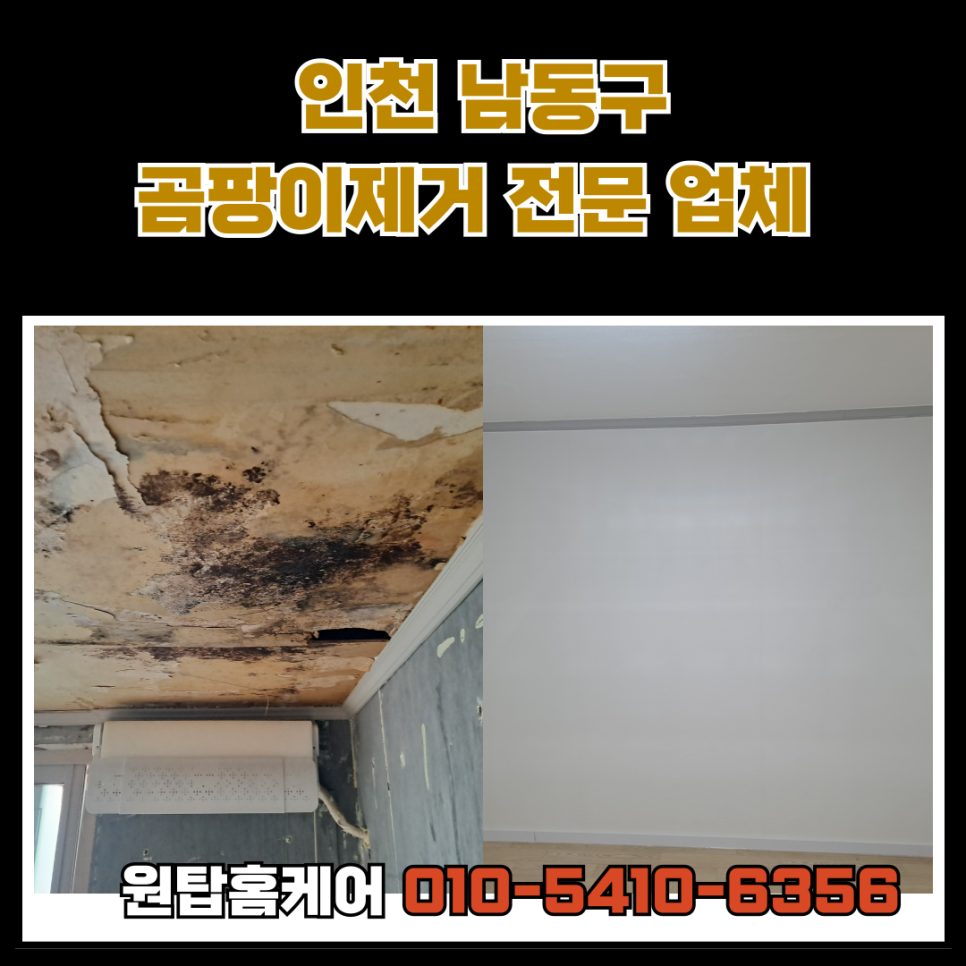 인천 남동구 방 곰팡이, 단열벽지로 재발없이 완벽 해결! 사진 1