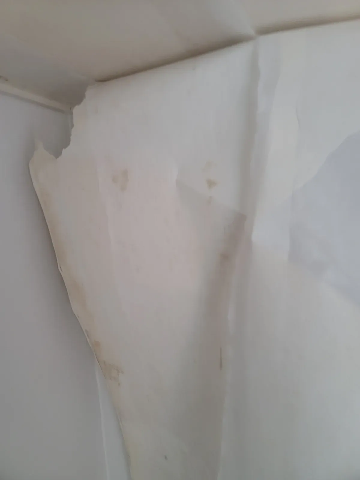 시공 전 들뜬 벽지와 얼룩