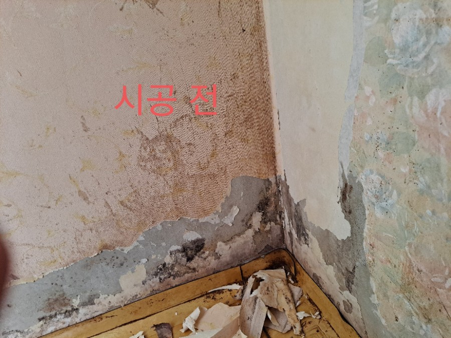 곰팡제거 후 규조토결로제로 및친환경규조토페일트 시공 사진 28