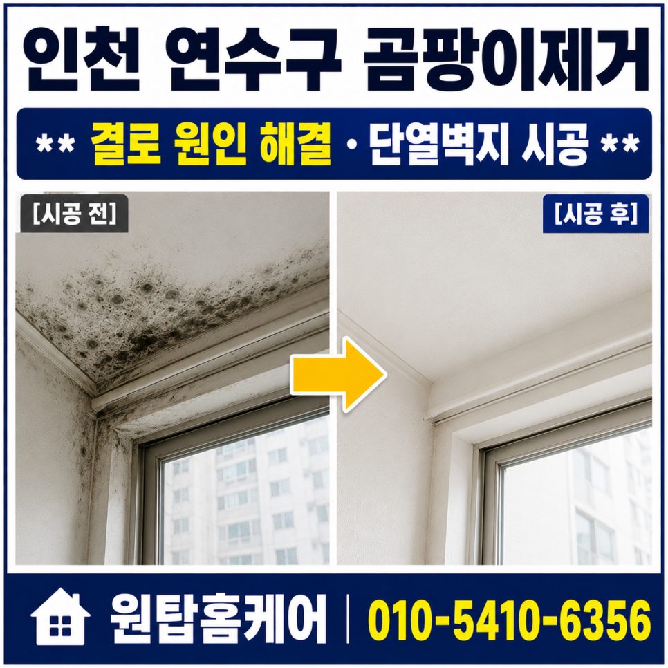 인천 연수구곰팡이제거 아파트 결로 단열시공과 단열벽지 도배로 장마철 습기 걱정 끝! 사진 1