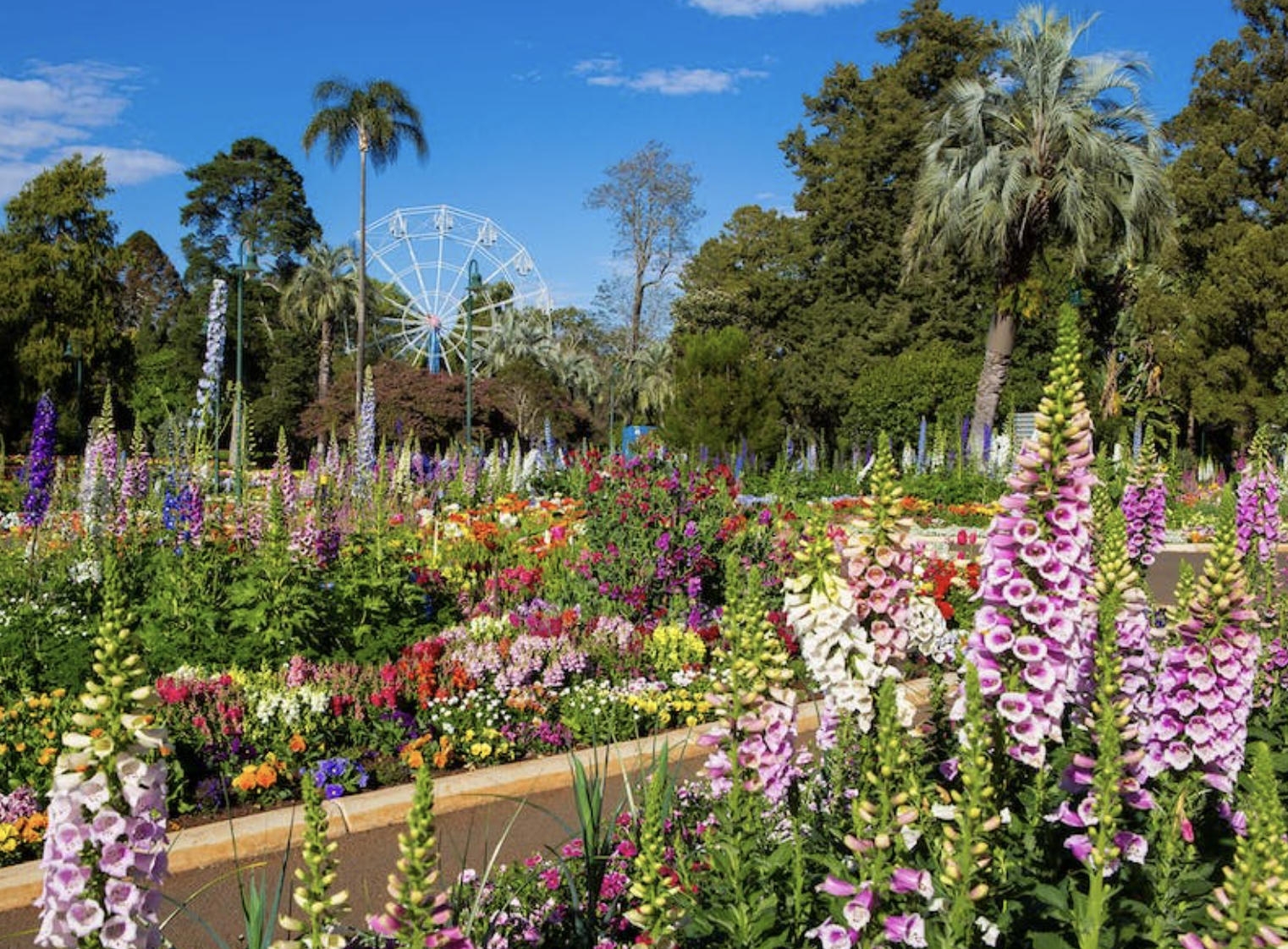 Toowoomba Carnival of Flowers