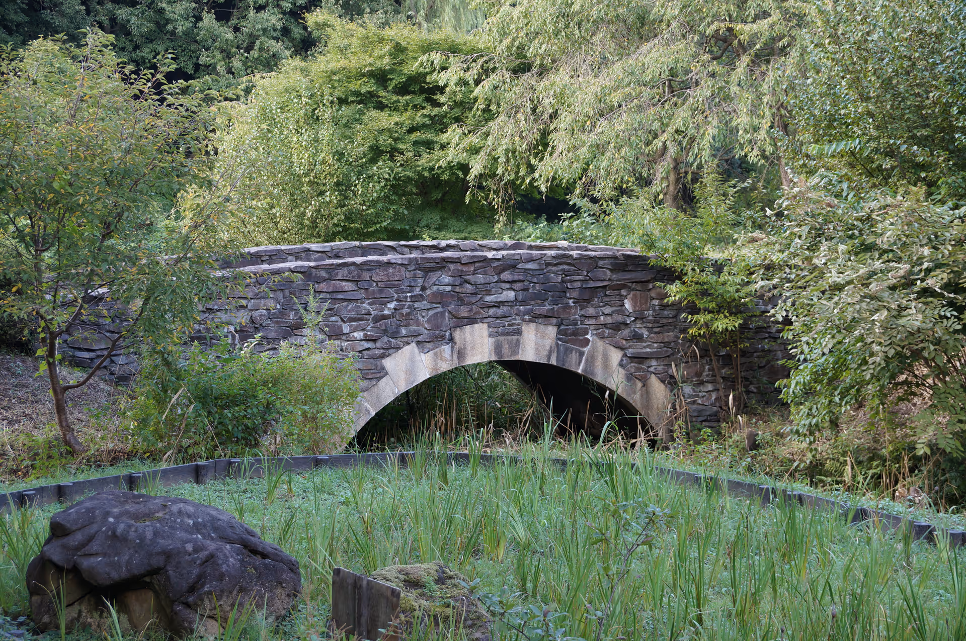 2012年9月17日に神奈川県で撮った「森、植物、橋」の写真