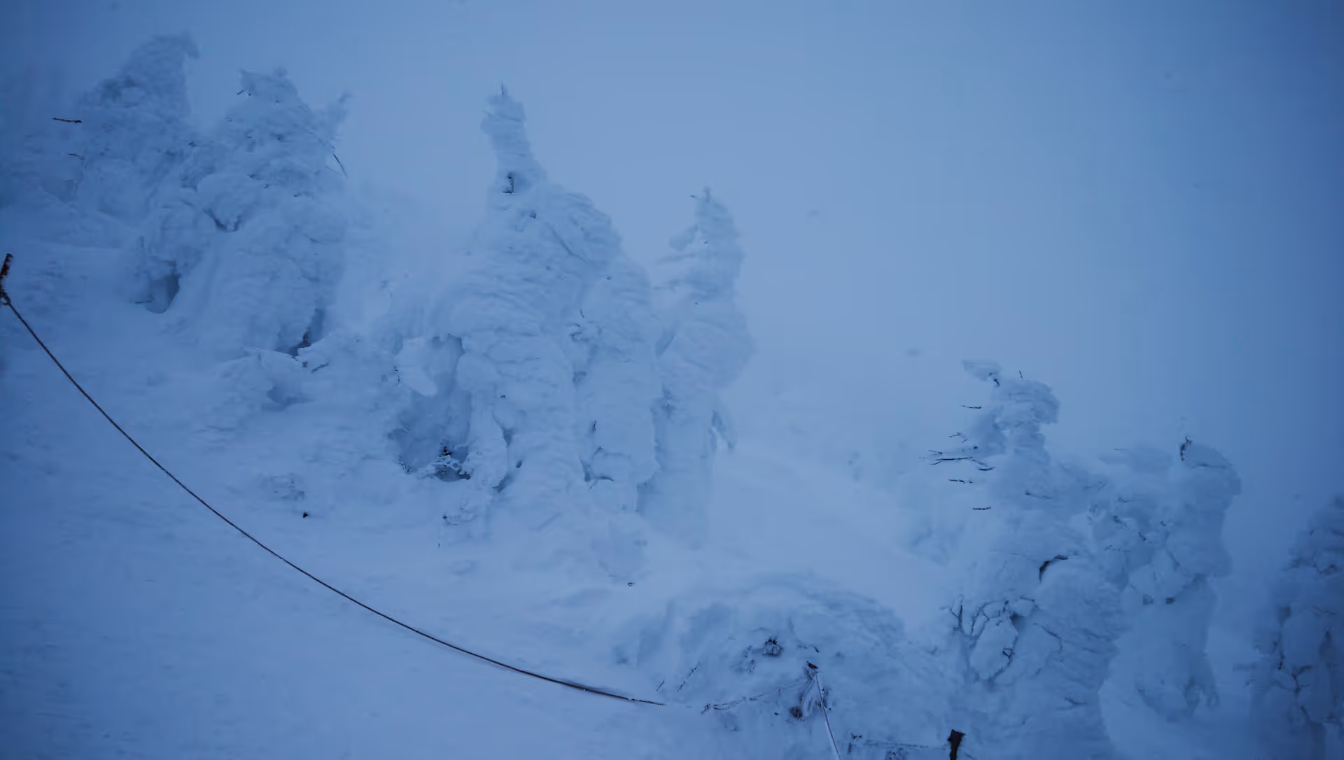 2019年1月3日に山形県で撮った「スマホ、冬、植物、樹氷、蔵王、雪」の写真