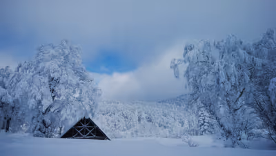 2019年1月3日に山形県で撮った「スキー場、スマホ、冬、植物、樹氷、蔵王、雪」の写真