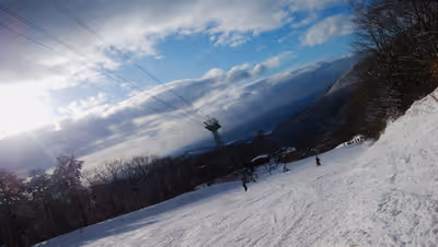 2019年1月3日に山形県で撮った「スキー場、スマホ、冬、植物、空、蔵王、雪」の写真