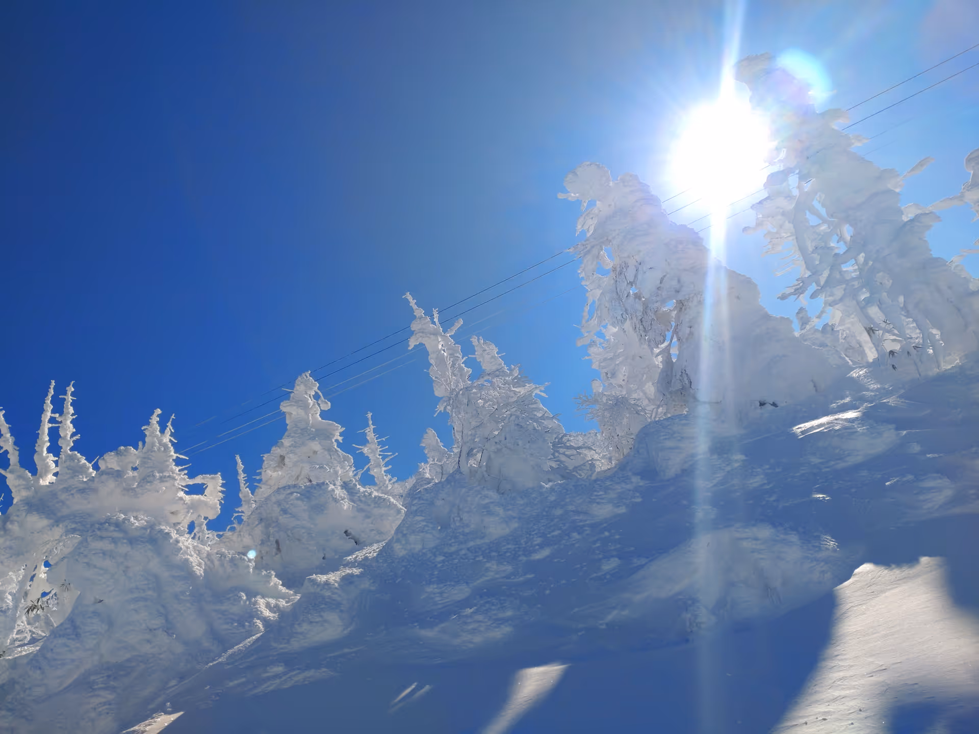 2024年1月17日に山形県で撮った「スキー場、スマホ、冬、太陽、樹氷、空、蔵王、雪」の写真