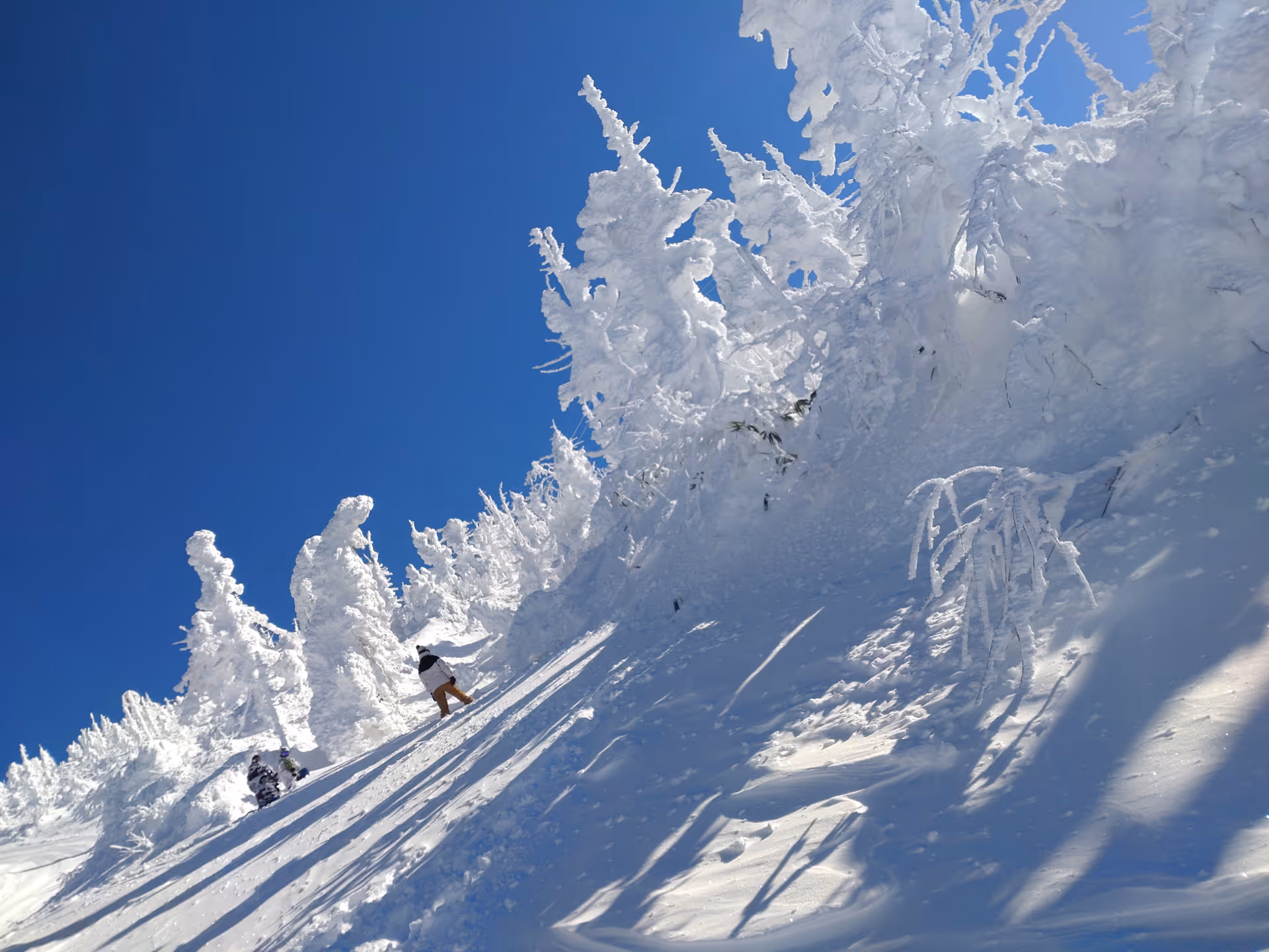2024年1月17日に山形県で撮った「スキー場、スマホ、冬、樹氷、空、蔵王、雪」の写真