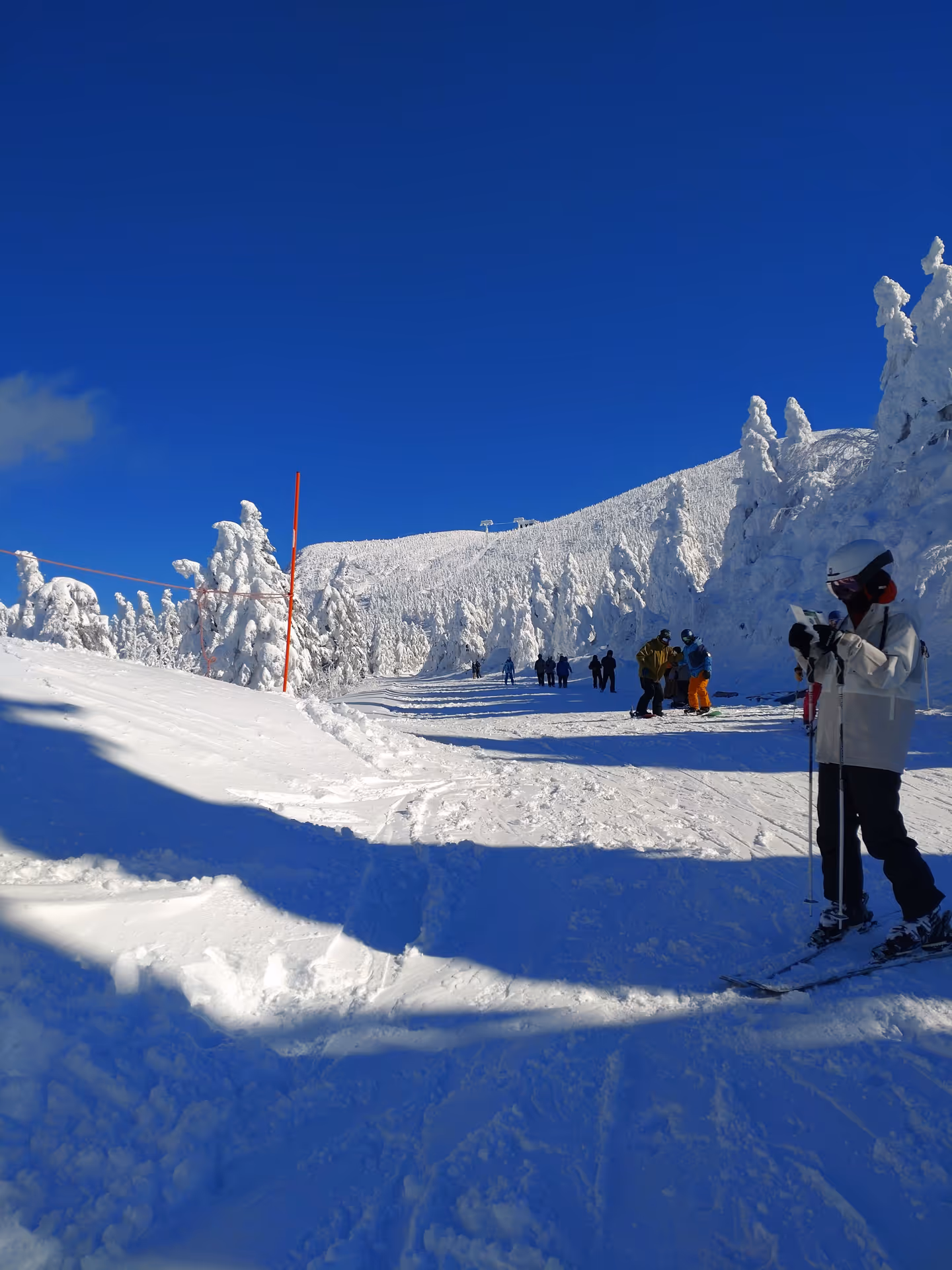 2024年1月17日に山形県で撮った「スキー場、スマホ、冬、樹氷、空、蔵王、雪」の写真