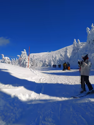 2024年1月17日に山形県で撮った「スキー場、スマホ、冬、樹氷、空、蔵王、雪」の写真