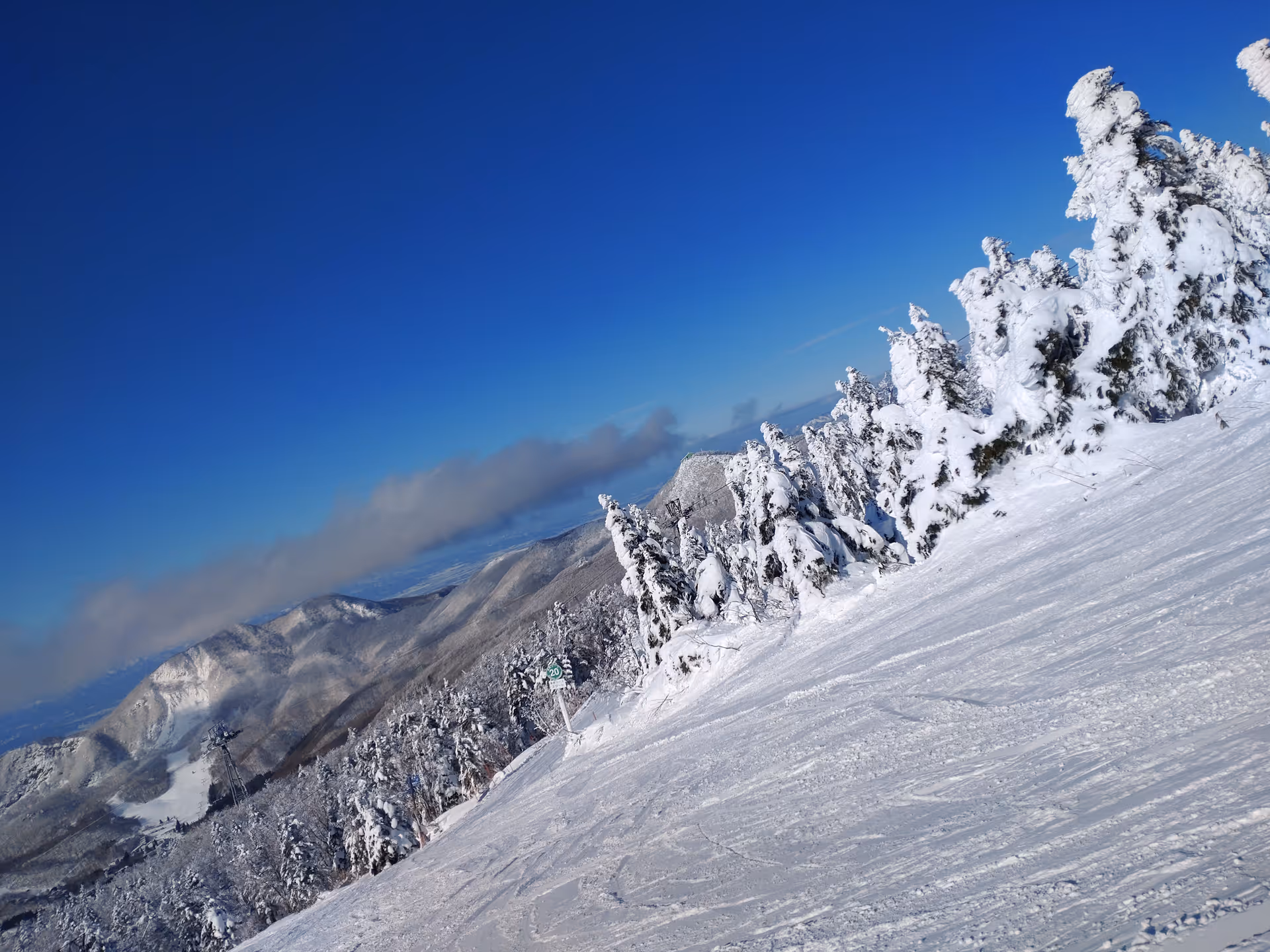 2024年1月17日に山形県で撮った「スキー場、スマホ、冬、樹氷、空、蔵王、雪」の写真