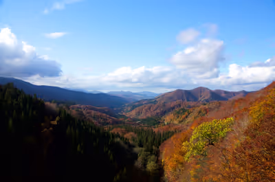 2018年11月2日に秋田県で撮った「山、植物、秋、空、紅葉」の写真