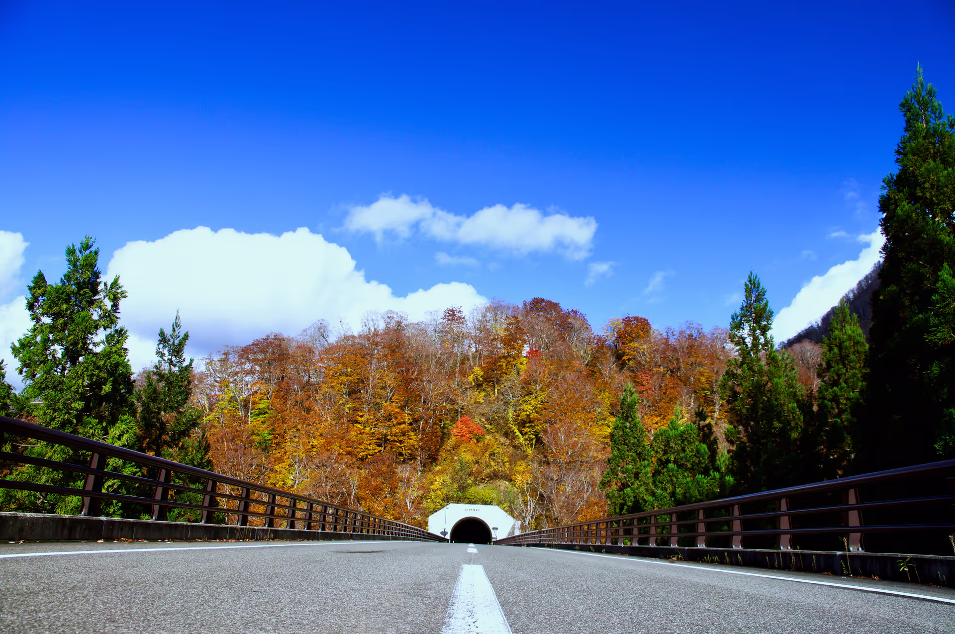 2018年11月2日に秋田県で撮った「山、植物、秋、空、紅葉、道路」の写真