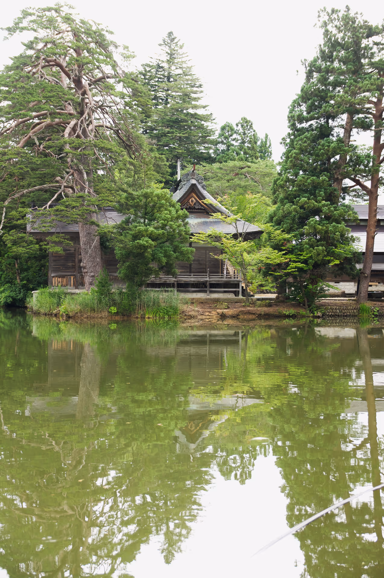 2020年7月23日に山形県で撮った「反射、森、植物、湖」の写真