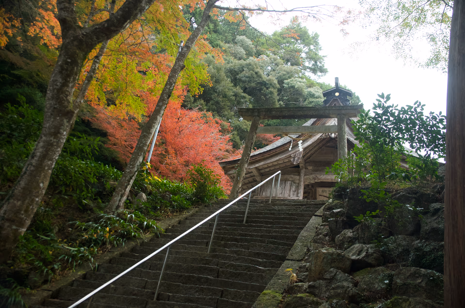 2022年11月20日に岐阜県で撮った「建物、植物、秋、紅葉」の写真