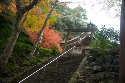 2022年11月20日に岐阜県で撮った「建物、植物、秋、紅葉」の写真