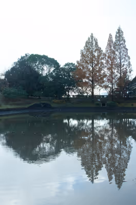2022年11月21日に岐阜県で撮った「反射、植物、池、秋、紅葉」の写真