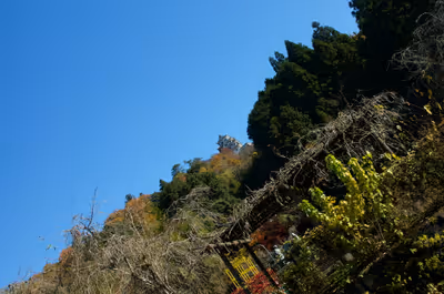 2022年11月21日に岐阜県で撮った「城、山、植物、秋、空、紅葉、群青八幡城」の写真