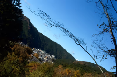 2022年11月21日に岐阜県で撮った「城、植物、秋、紅葉、群青八幡城」の写真