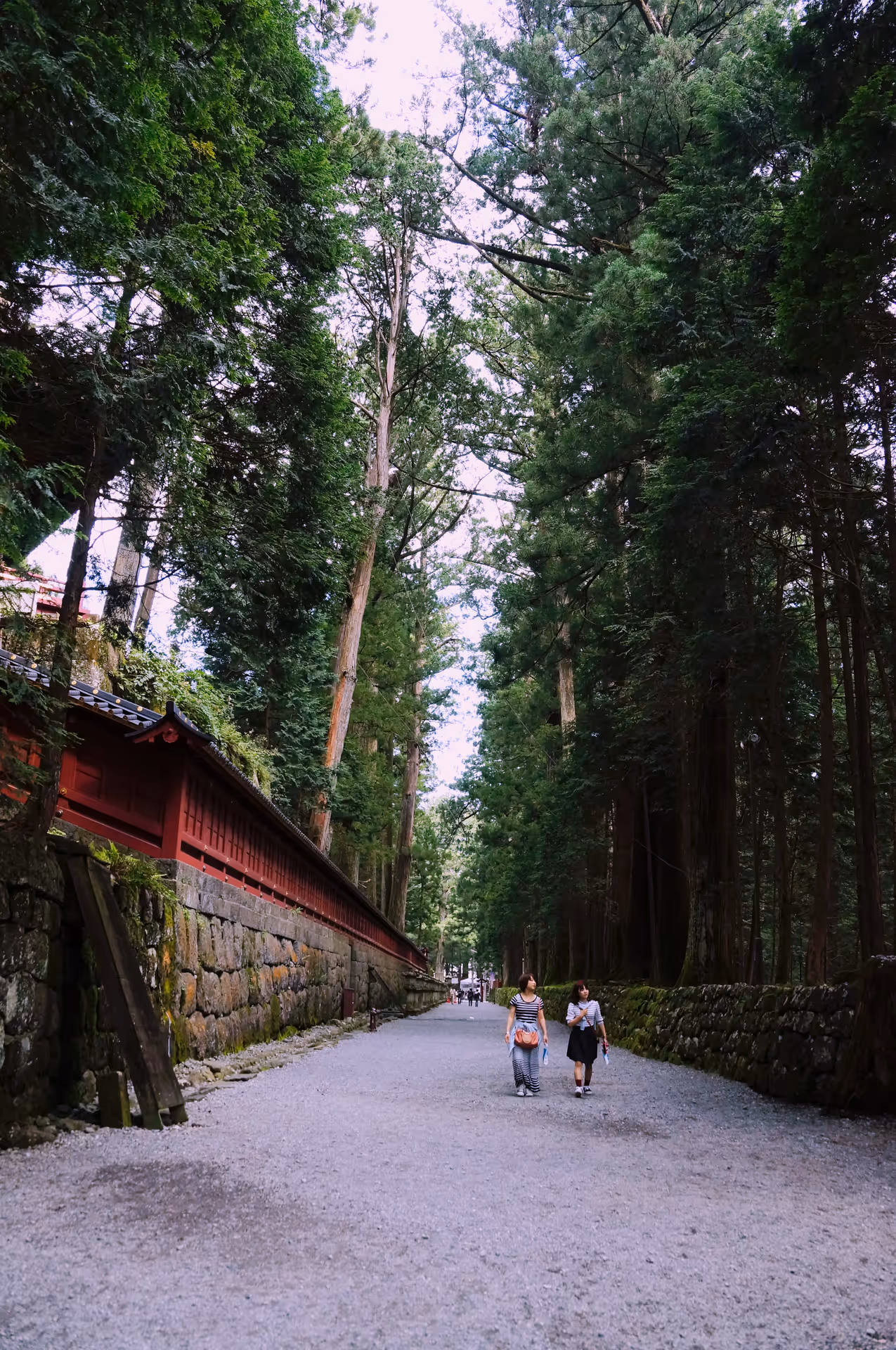 2014年9月9日に栃木県で撮った「壁、日光、植物、通り」の写真