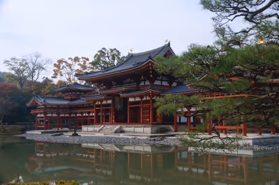 2014年11月20日に京都府で撮った「反射、宇治、平等院、建物、池」の写真