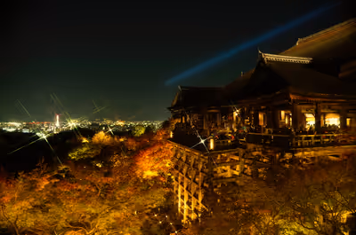 2014年11月20日に京都府で撮った「ライトアップ、夜、夜景、建物、植物、清水寺、秋、紅葉」の写真