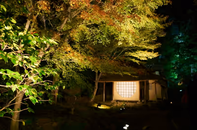 2014年11月20日に京都府で撮った「ライトアップ、夜、庭園、建物、植物、秋、紅葉」の写真