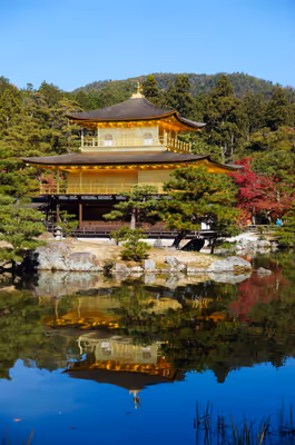 2014年11月21日に京都府で撮った「反射、山、植物、池、秋、空、紅葉、金閣寺」の写真