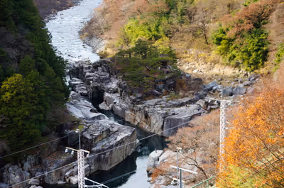 2015年11月21日に長野県で撮った「岩、川、森、植物、秋、紅葉」の写真