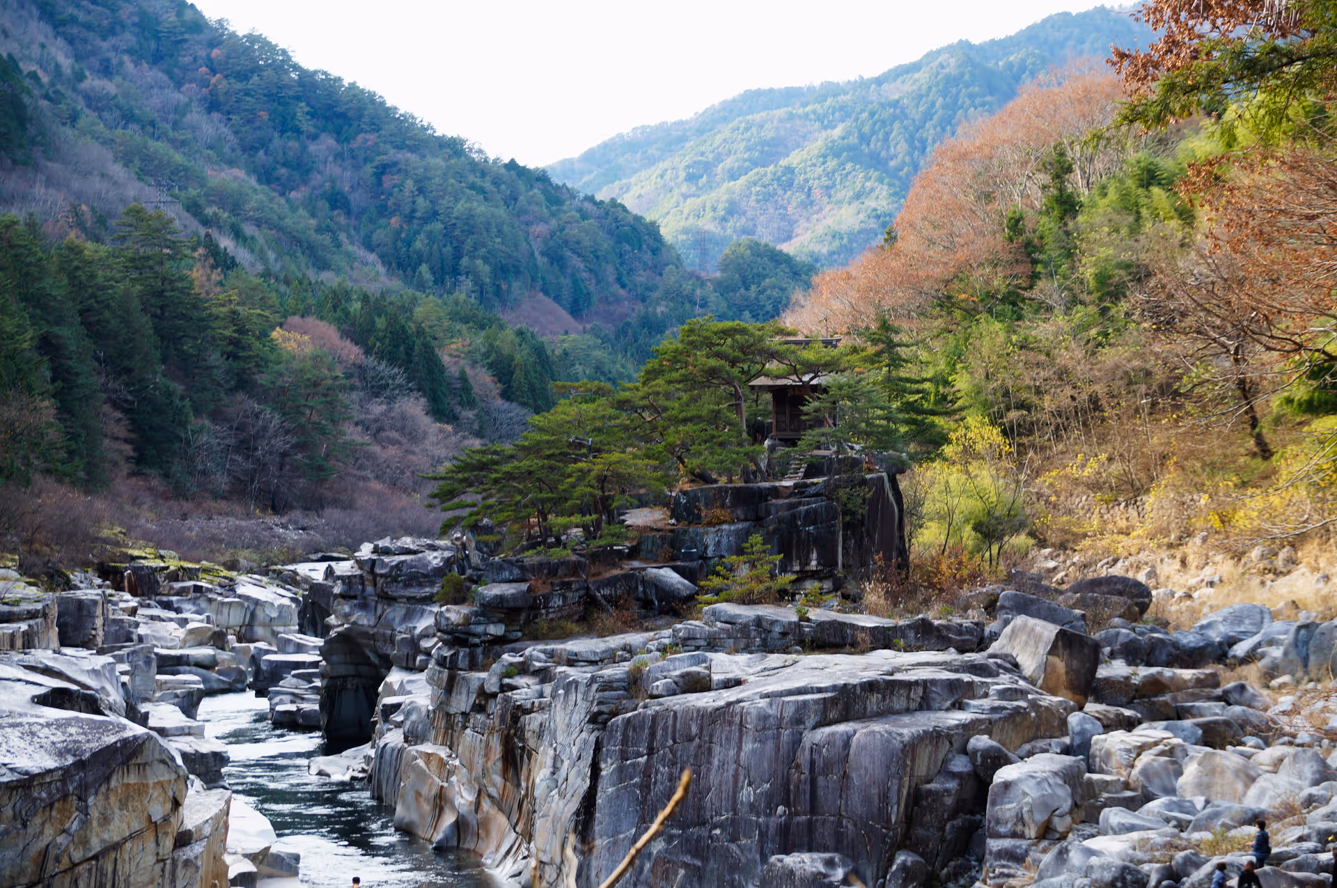2015年11月21日に長野県で撮った「岩、川、森、植物、秋、紅葉」の写真