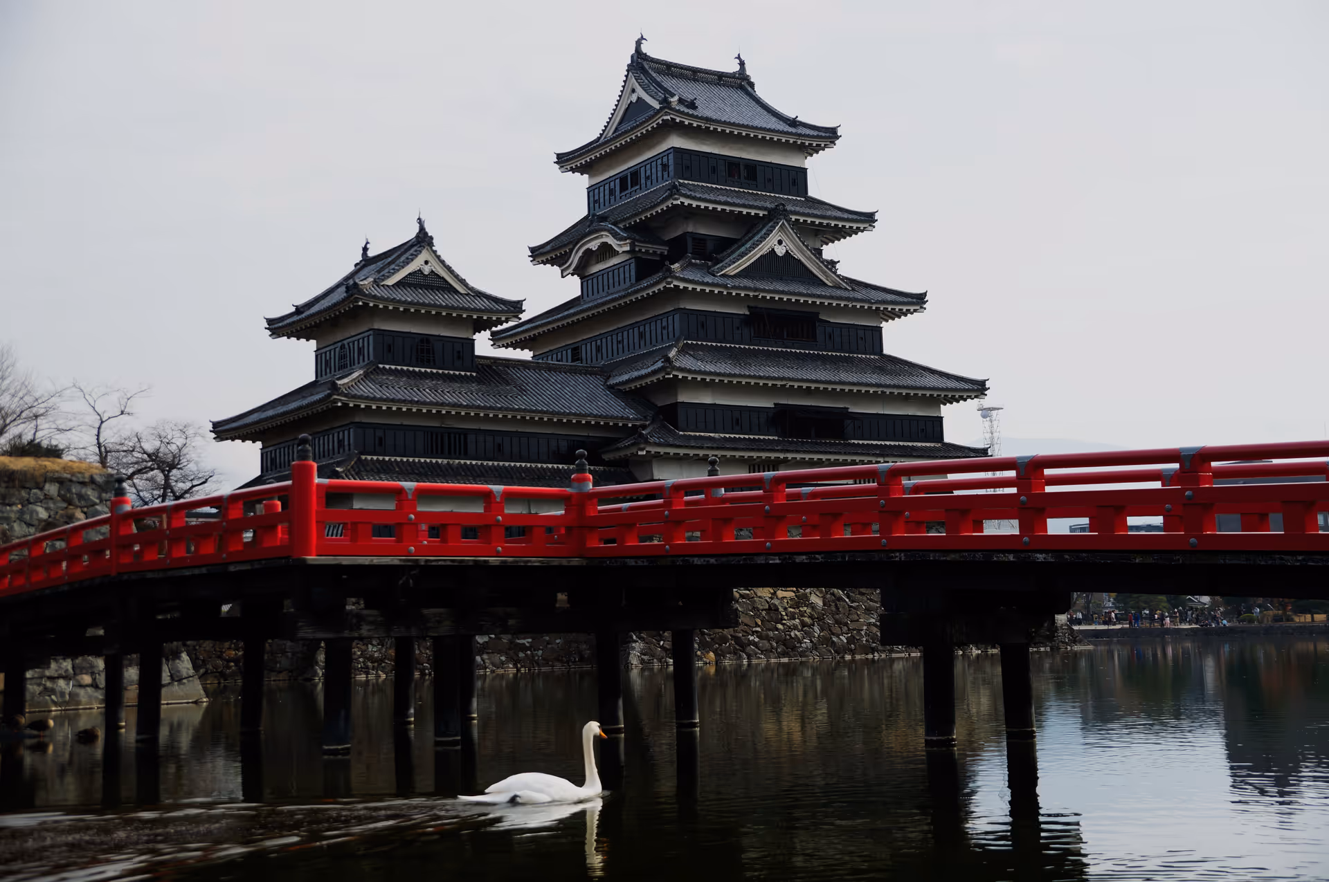 2015年11月22日に長野県で撮った「動物、城、松本、松本城、橋、池、白鳥、空、鳥」の写真