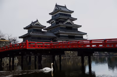 2015年11月22日に長野県で撮った「動物、城、松本、松本城、橋、池、白鳥、空、鳥」の写真